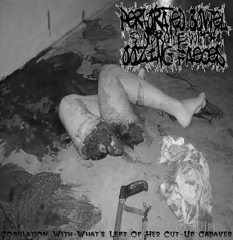 Copulation with What's Left of Her Cut-Up Cadaver